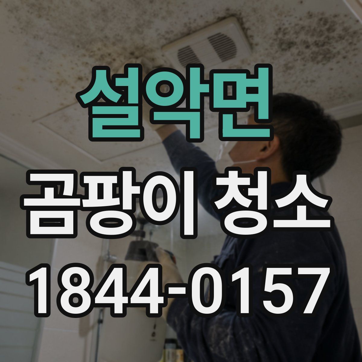 설악면 곰팡이 청소