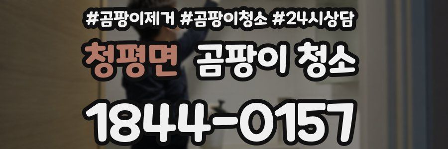 청평면 곰팡이 청소
