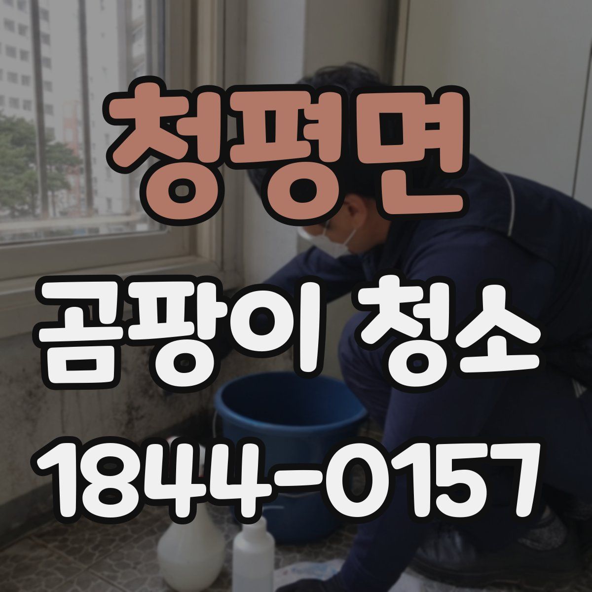 청평면 곰팡이 청소