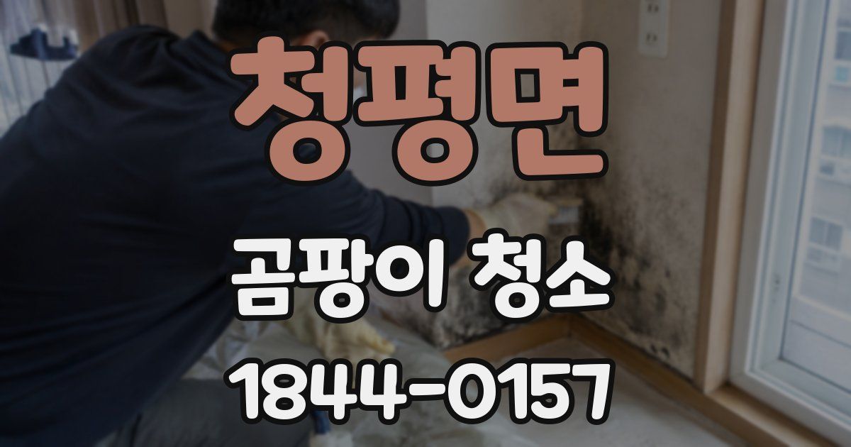 청평면 곰팡이 청소