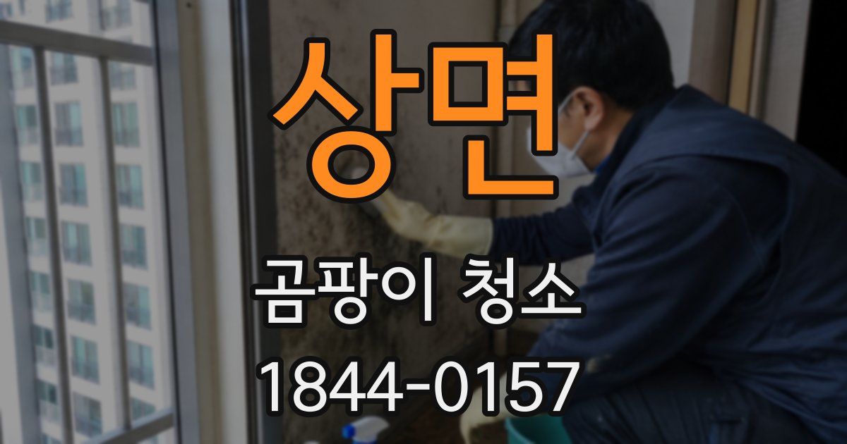 상면 곰팡이 청소
