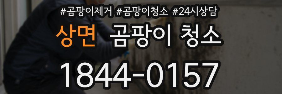 상면 곰팡이 청소