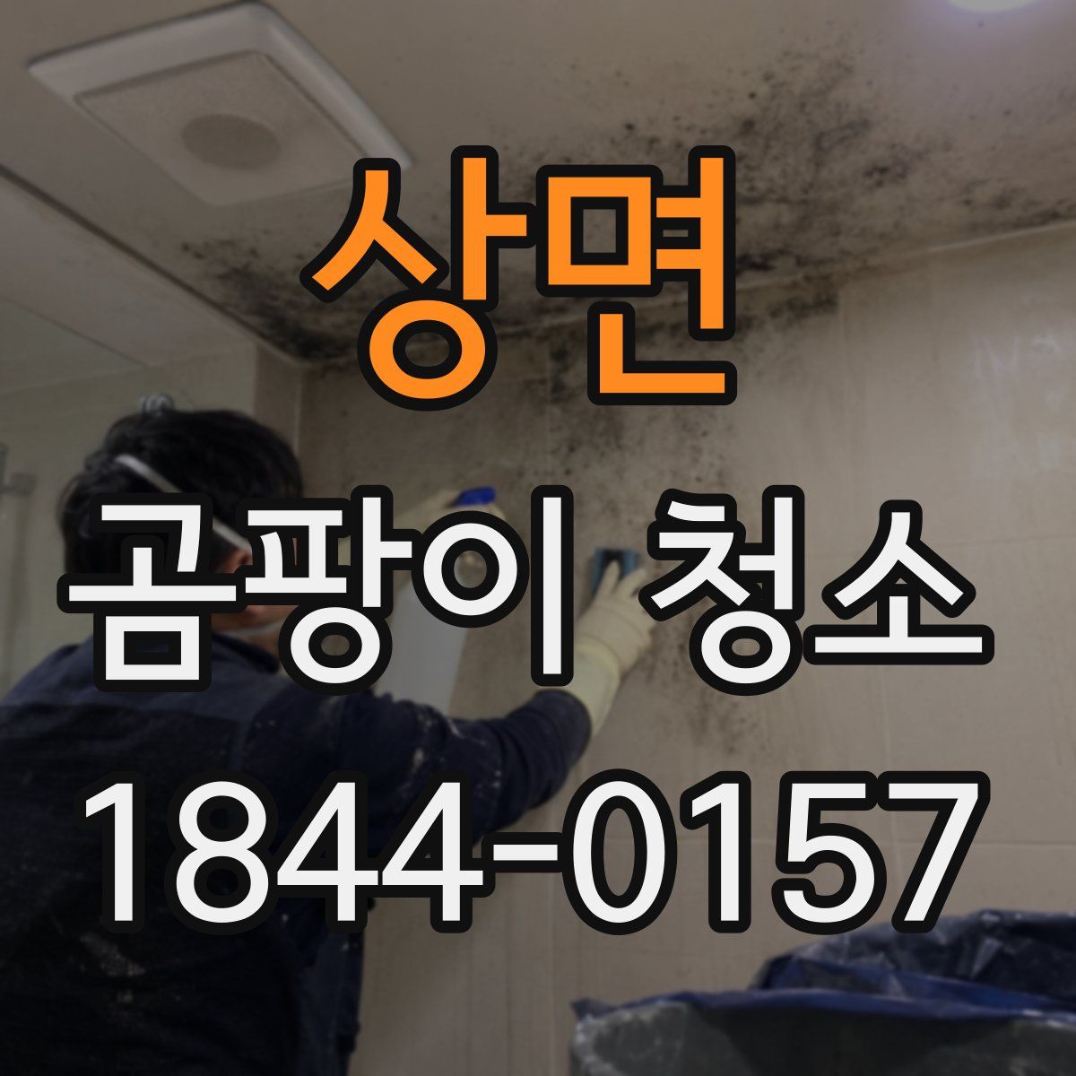 상면 곰팡이 청소