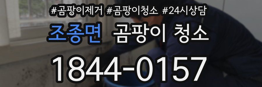 조종면 곰팡이 청소