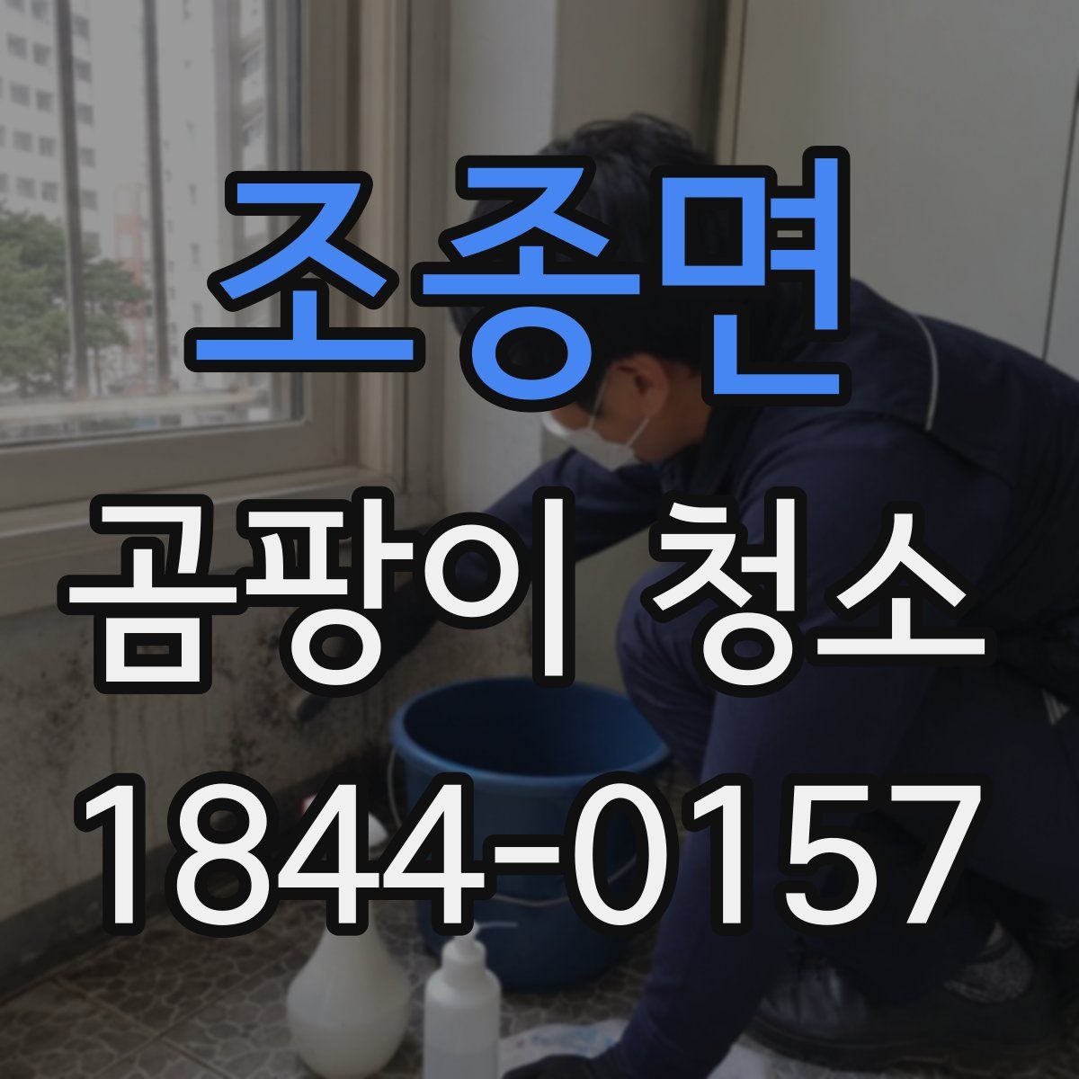 조종면 곰팡이 청소