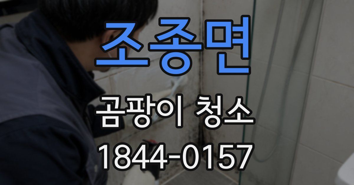 조종면 곰팡이 청소