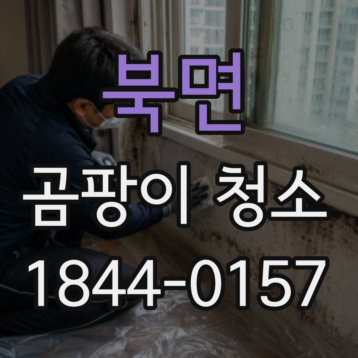 북면 곰팡이 청소
