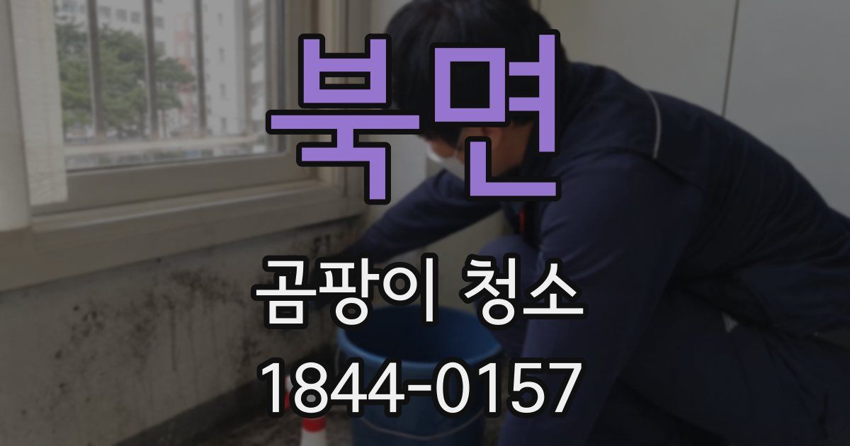 북면 곰팡이 청소