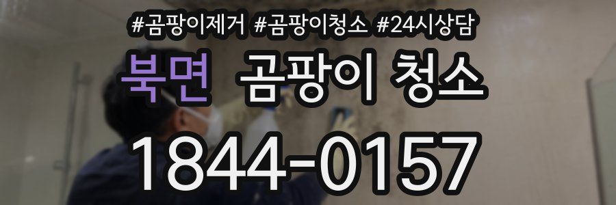 북면 곰팡이 청소