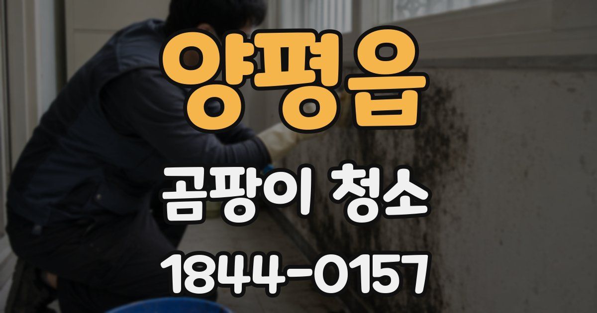 양평읍 곰팡이 청소