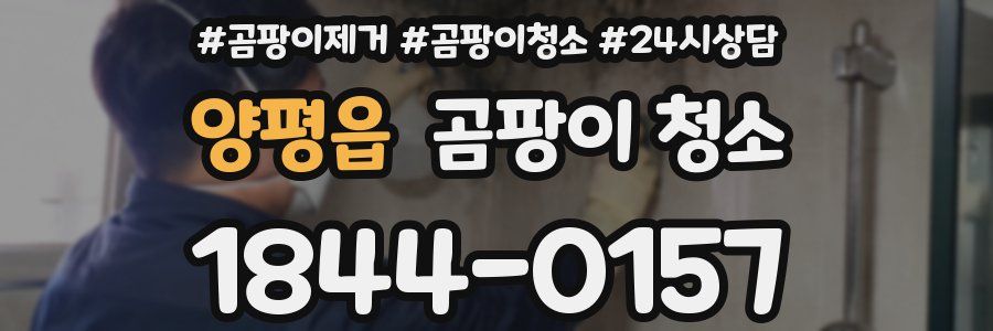 양평읍 곰팡이 청소