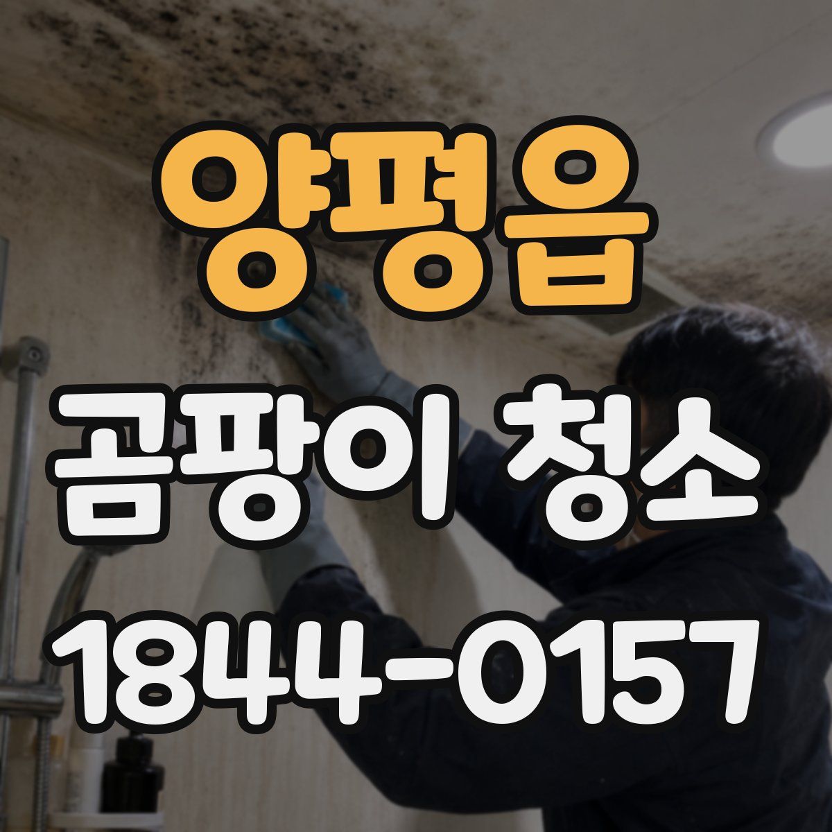양평읍 곰팡이 청소