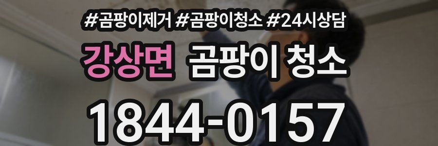 강상면 곰팡이 청소