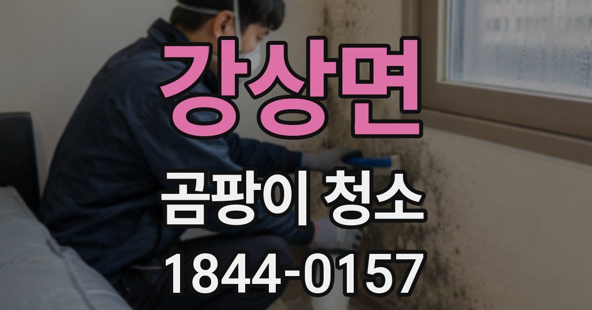 강상면 곰팡이 청소