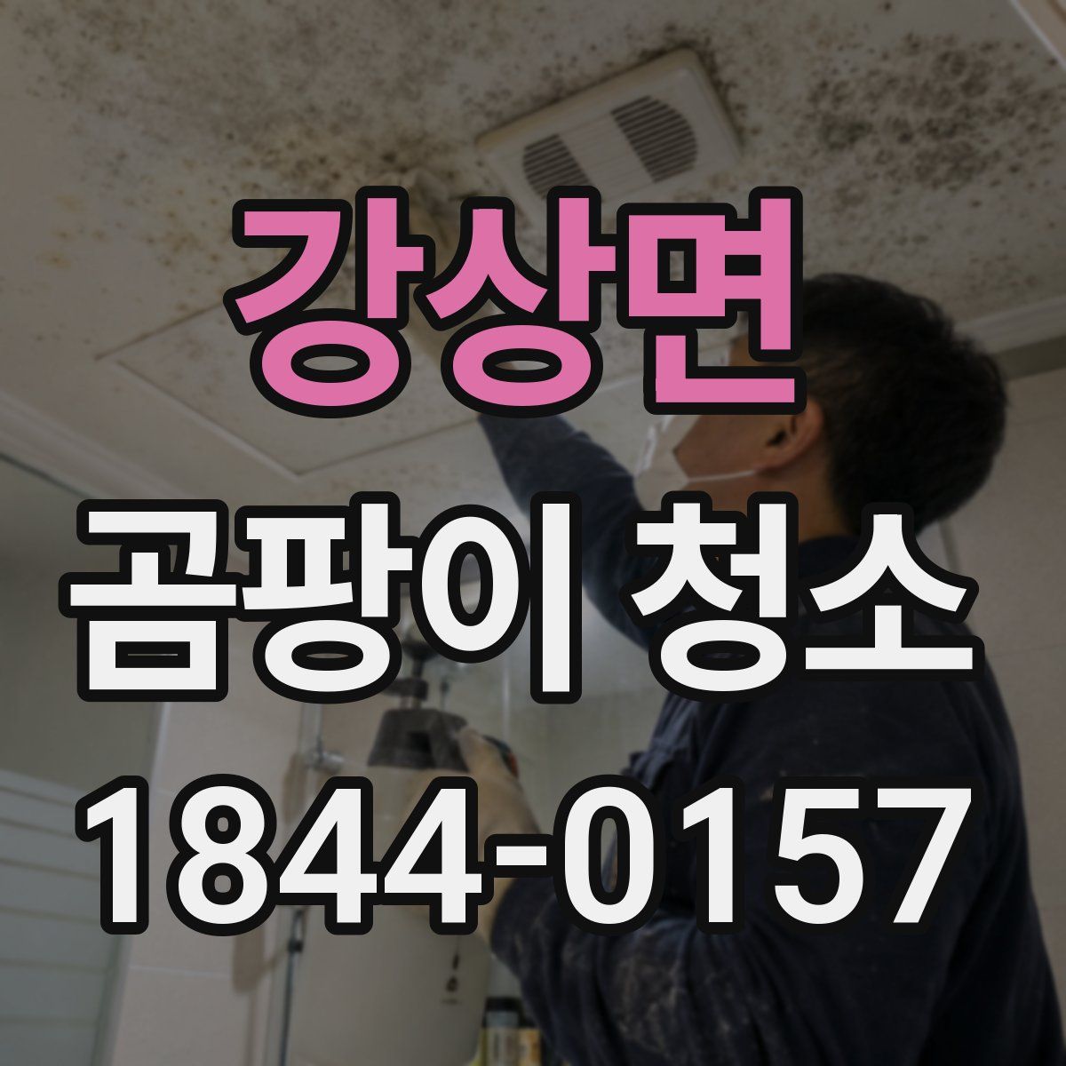 강상면 곰팡이 청소