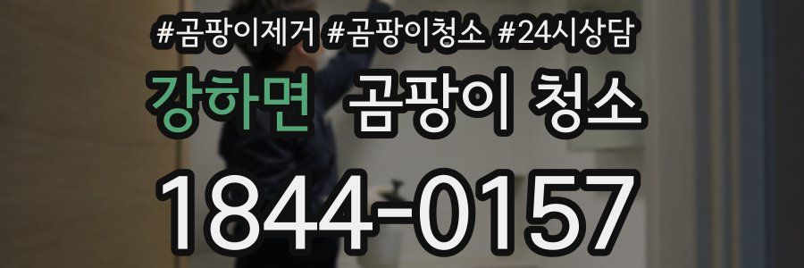 강하면 곰팡이 청소