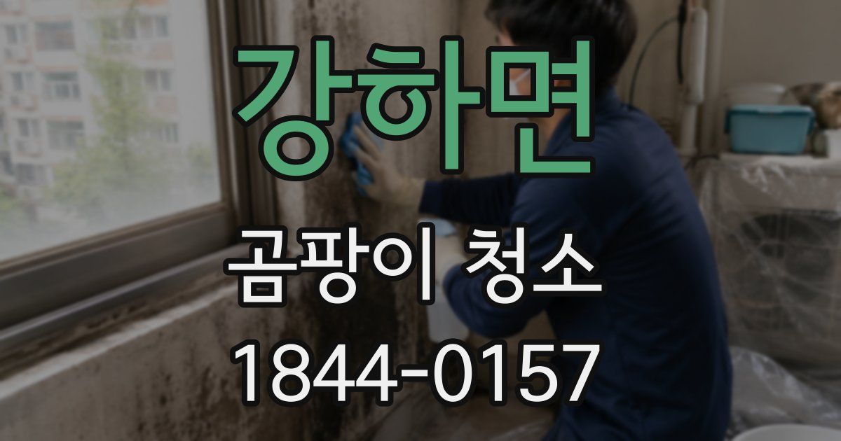 강하면 곰팡이 청소