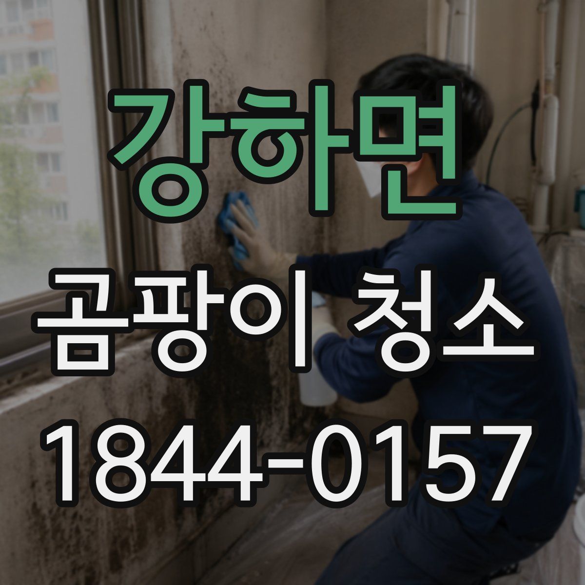 강하면 곰팡이 청소