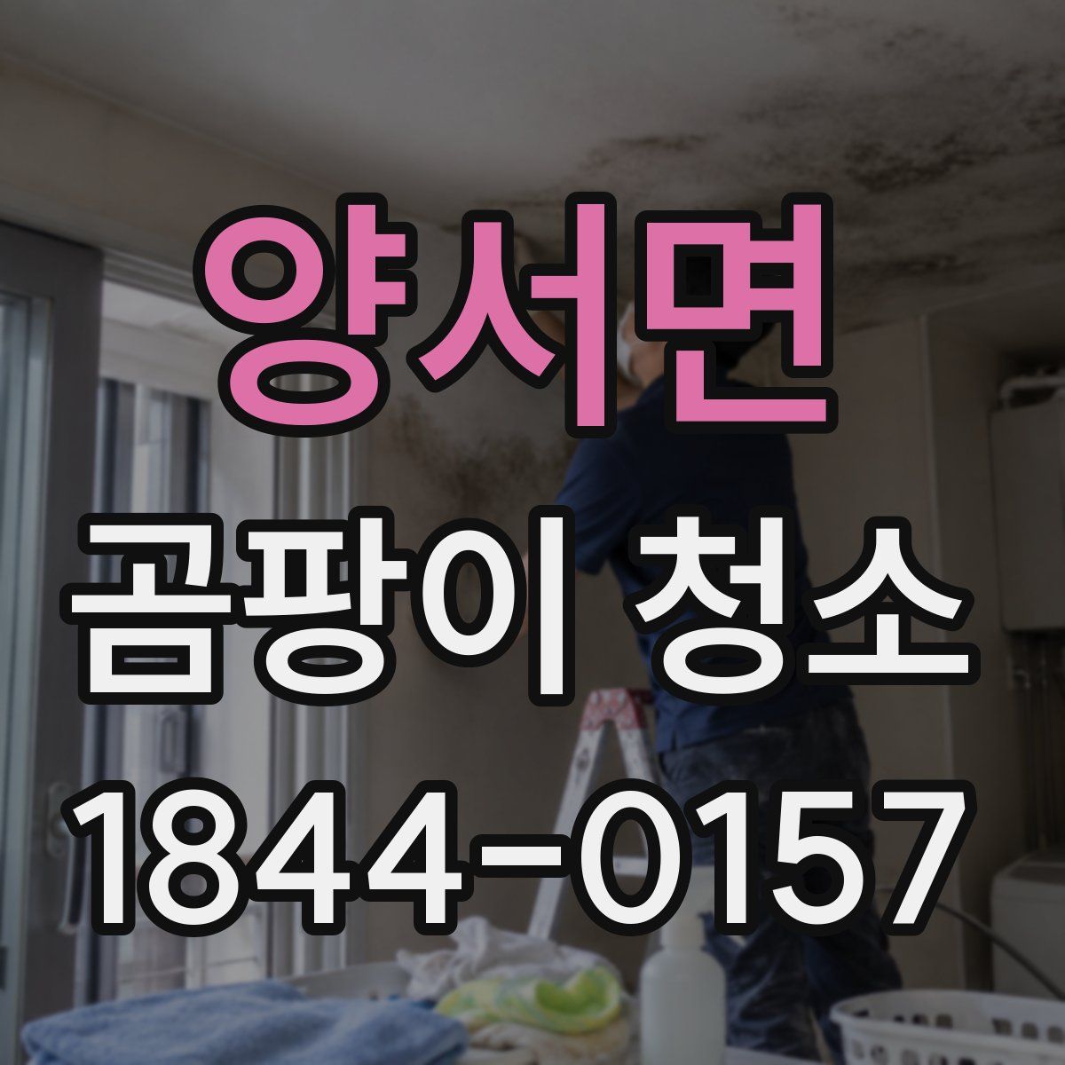 양서면 곰팡이 청소