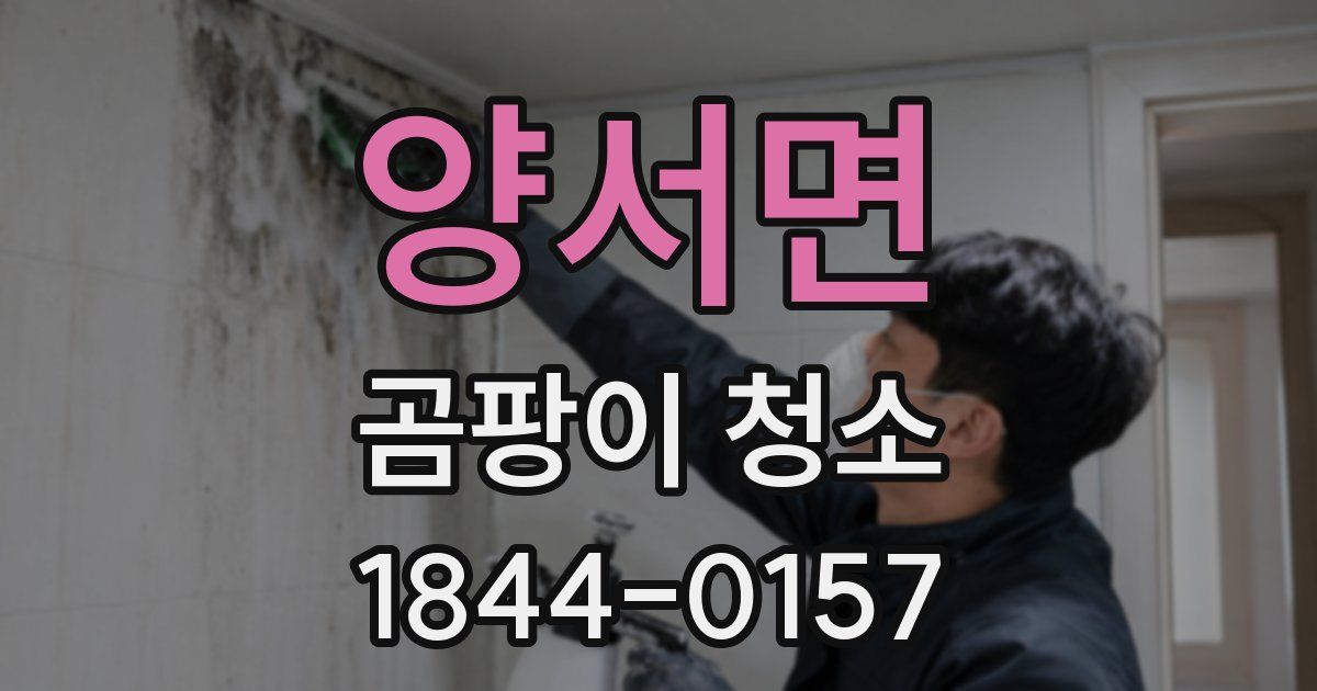 양서면 곰팡이 청소