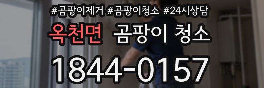 옥천면 곰팡이 청소