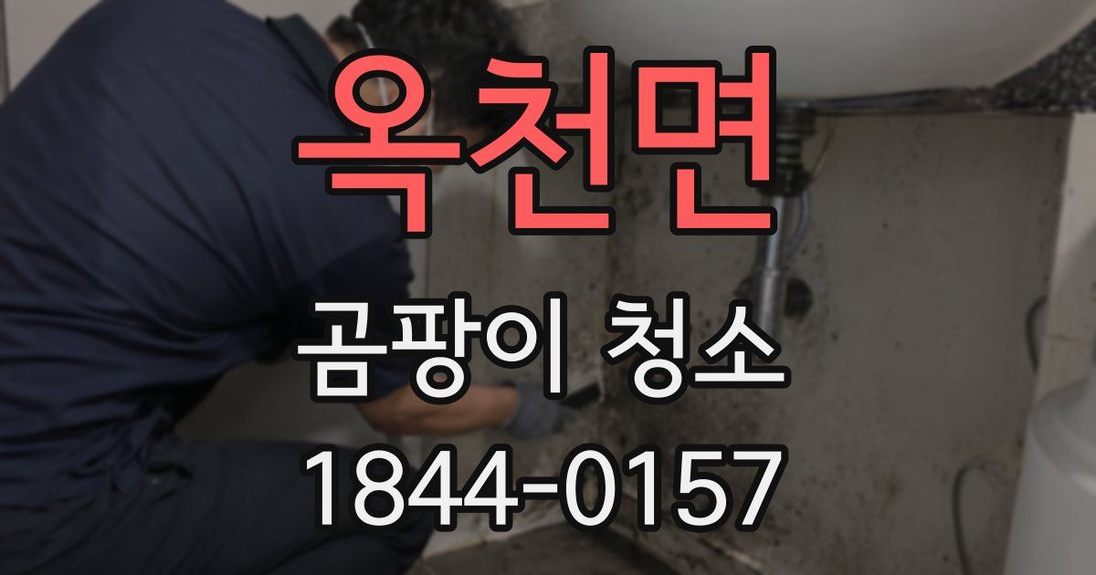 옥천면 곰팡이 청소
