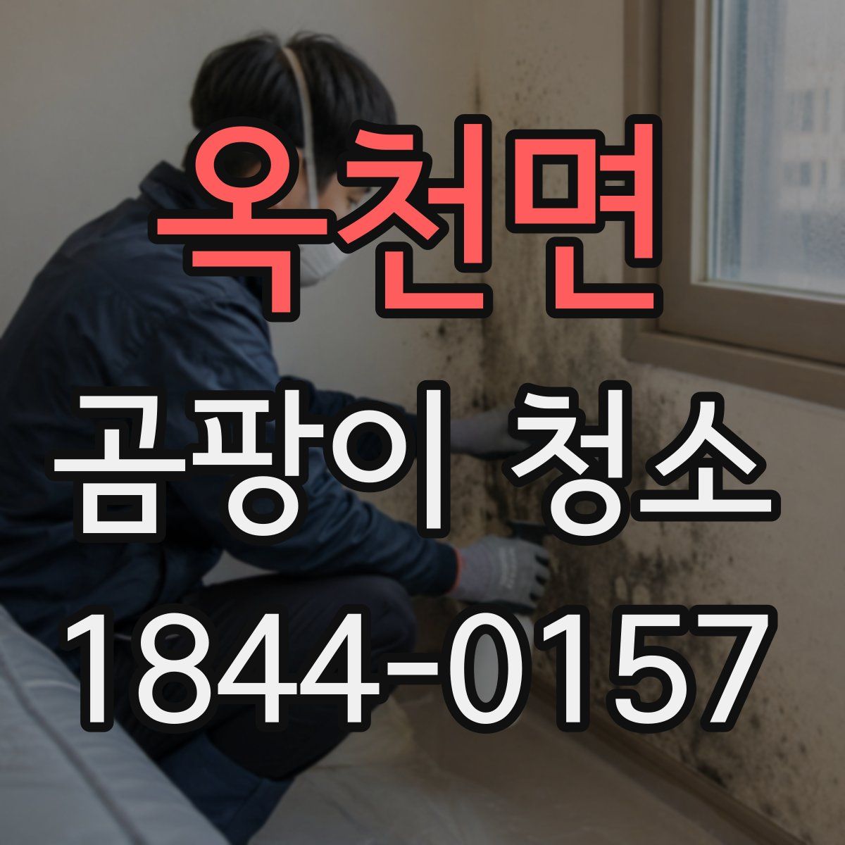 옥천면 곰팡이 청소