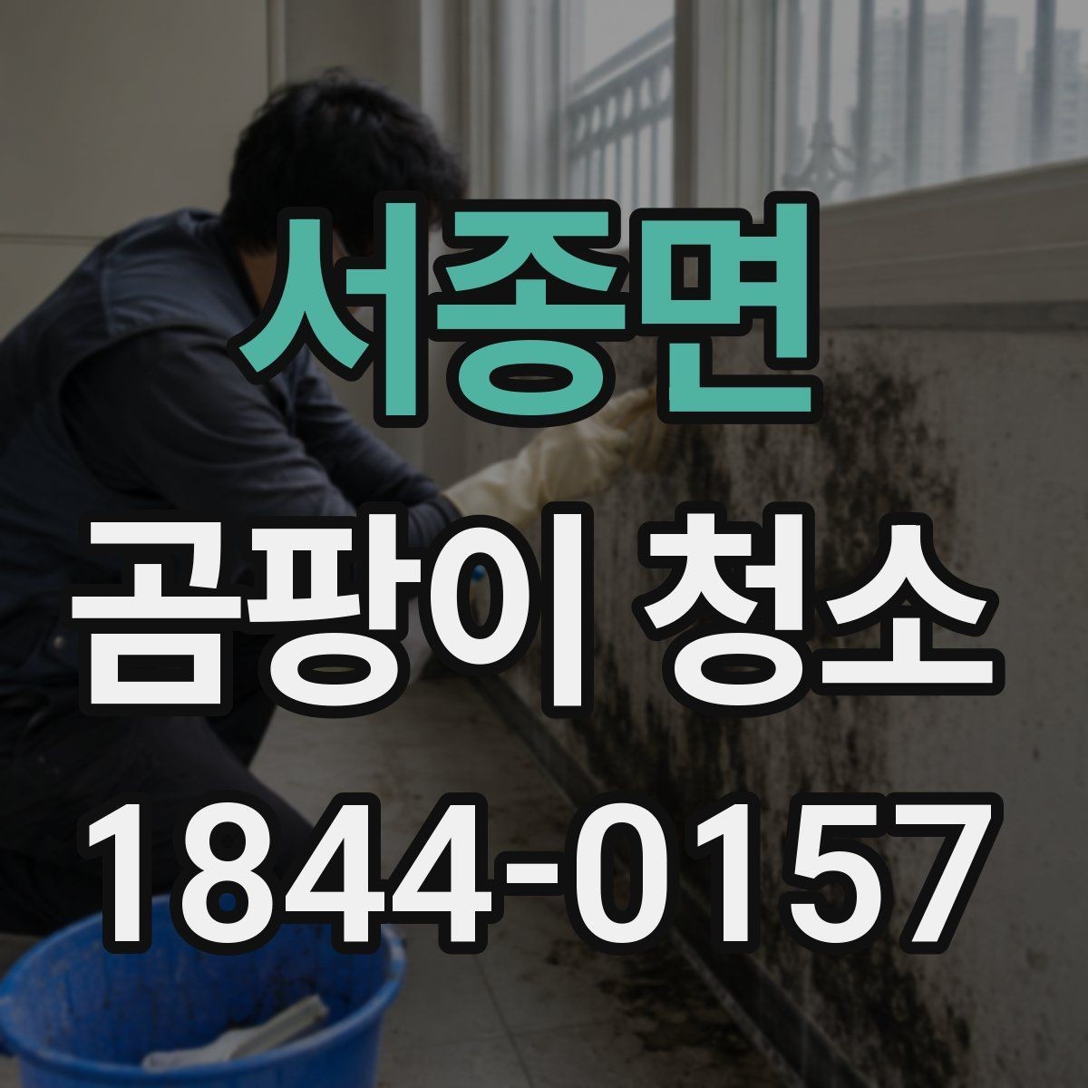 서종면 곰팡이 청소 제거제 사용 전 마감재 안전을 보는 법