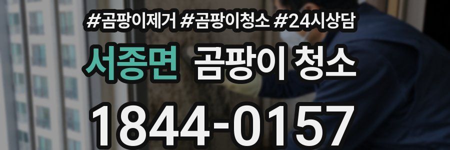 서종면 곰팡이 청소