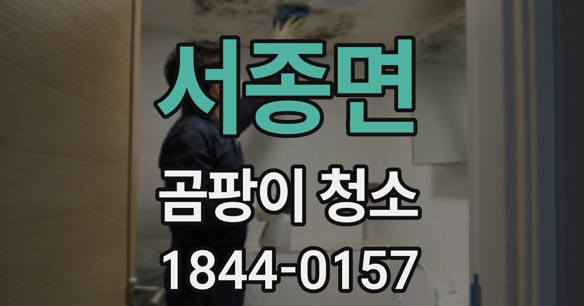 서종면 곰팡이 청소