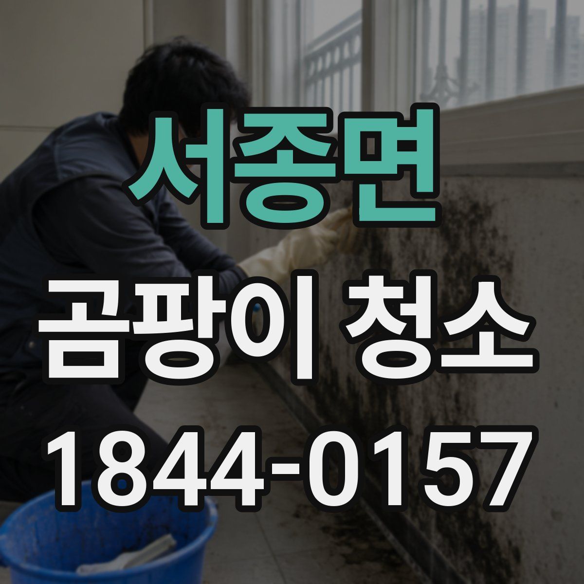 서종면 곰팡이 청소