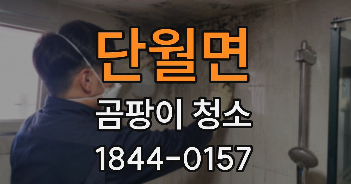 단월면 곰팡이 청소