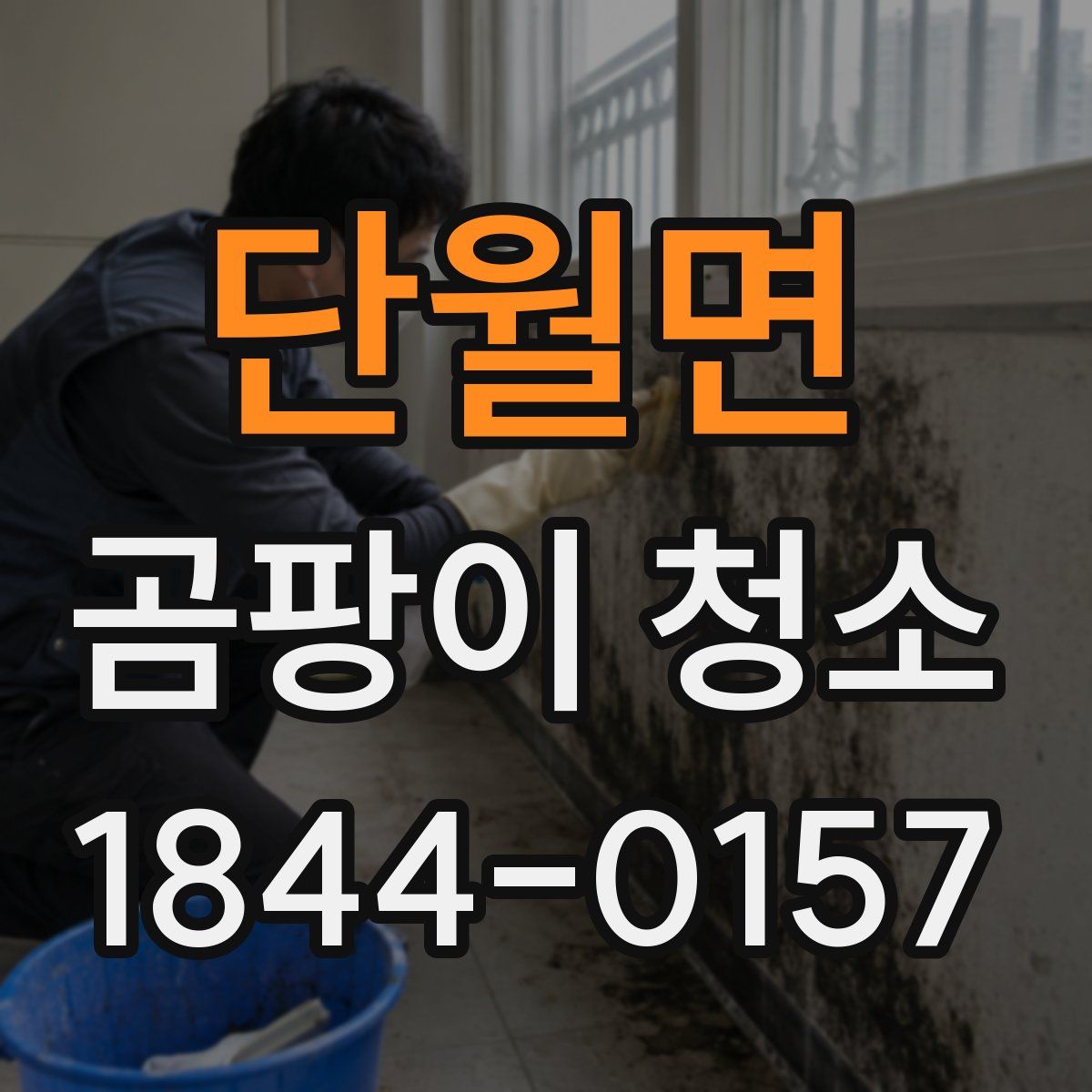 단월면 곰팡이 청소
