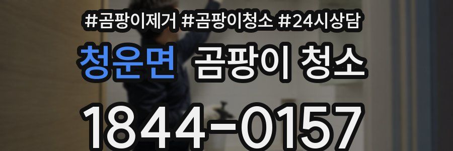 청운면 곰팡이 청소