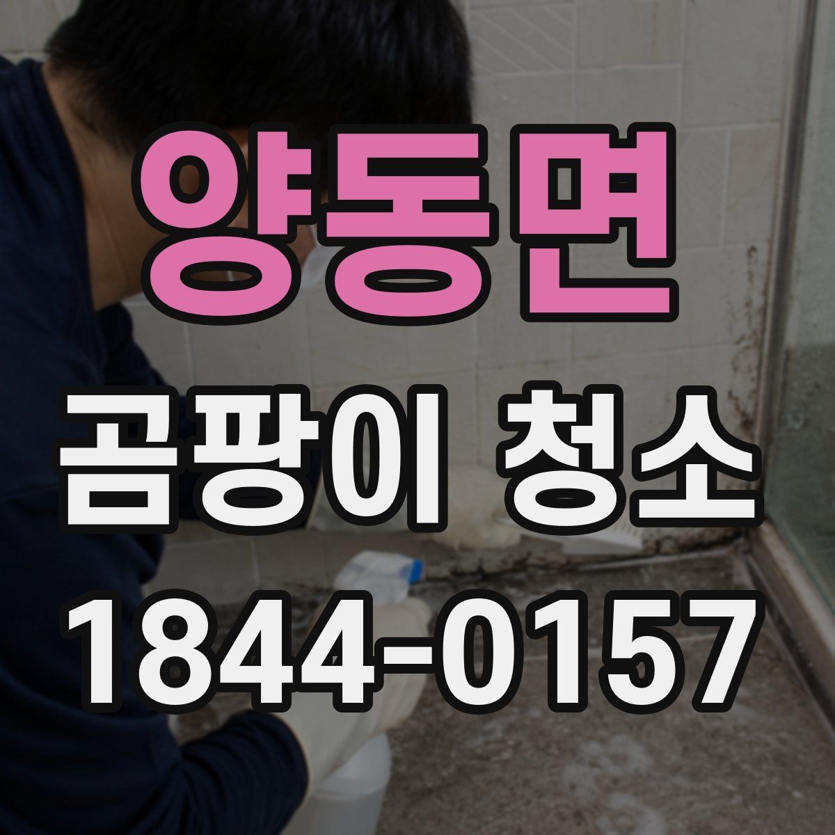 양동면 곰팡이 청소