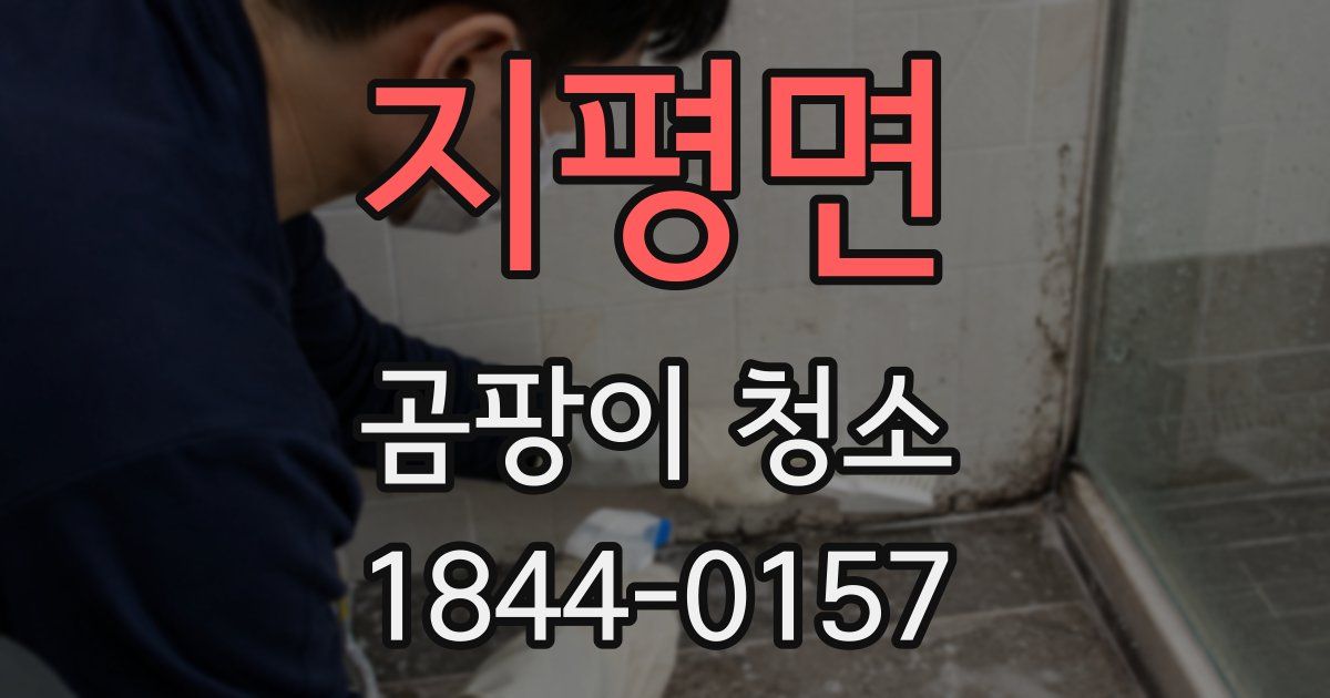 지평면 곰팡이 청소