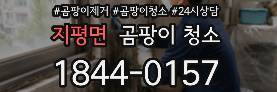 지평면 곰팡이 청소
