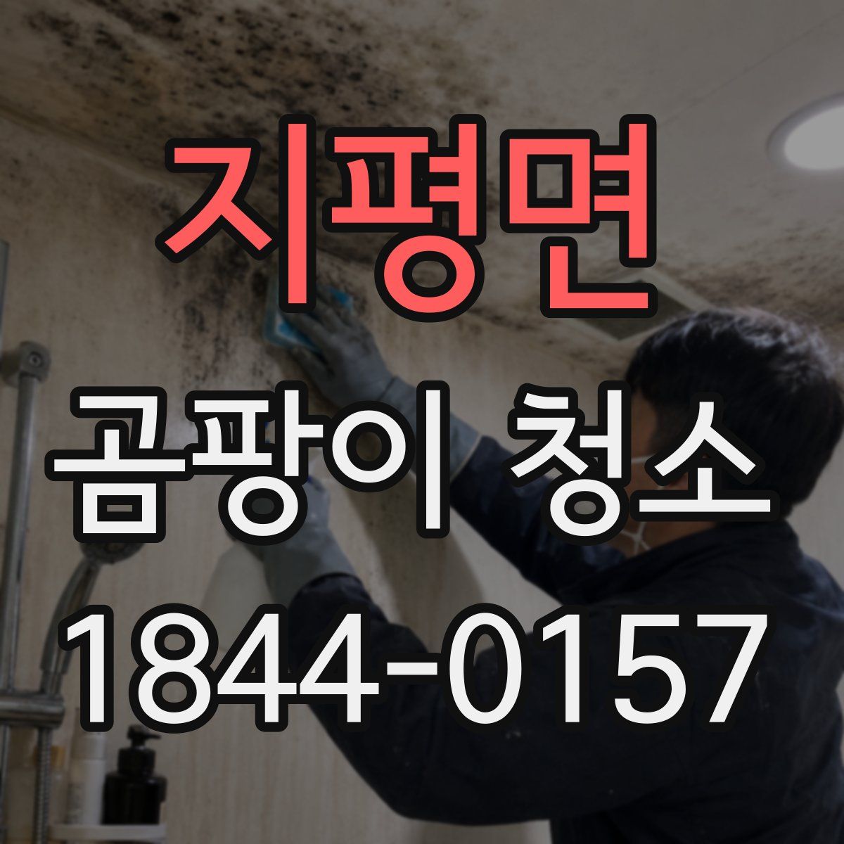 지평면 곰팡이 청소