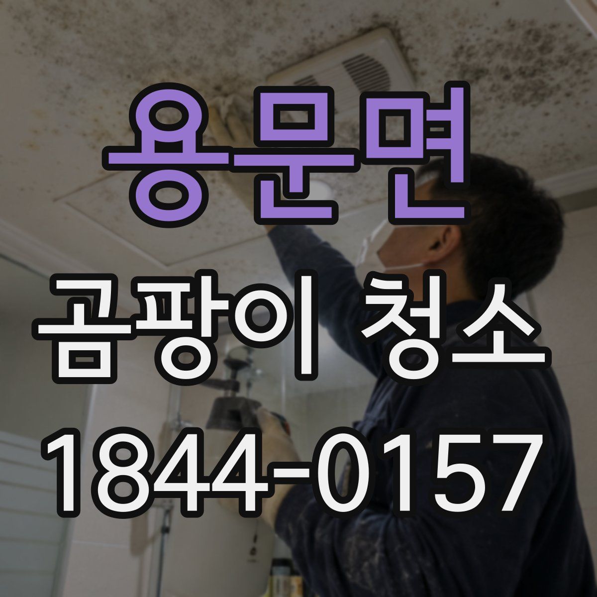 용문면 곰팡이 청소