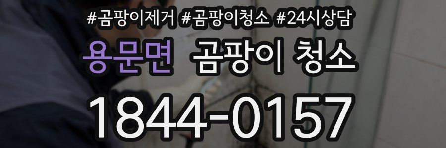 용문면 곰팡이 청소