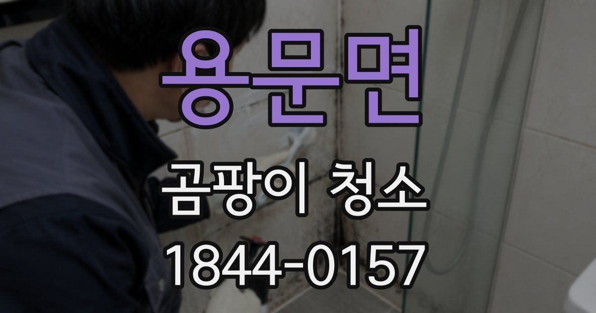 용문면 곰팡이 청소