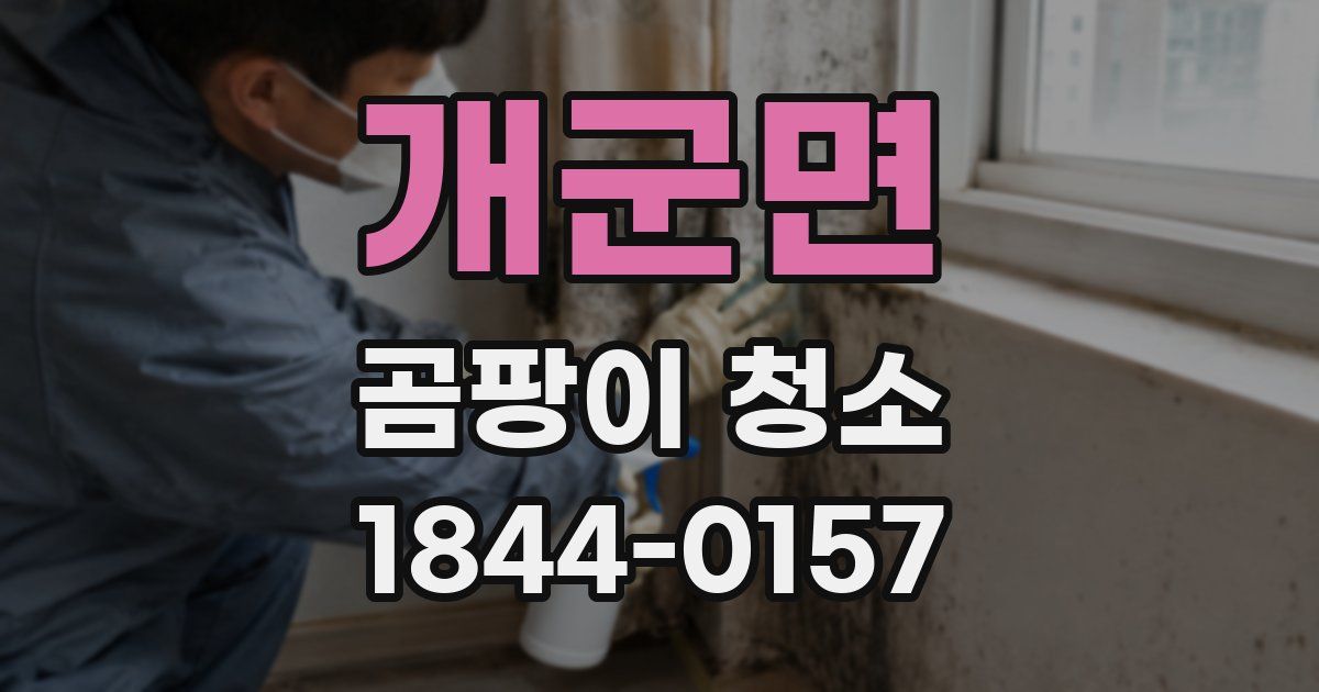 개군면 곰팡이 청소