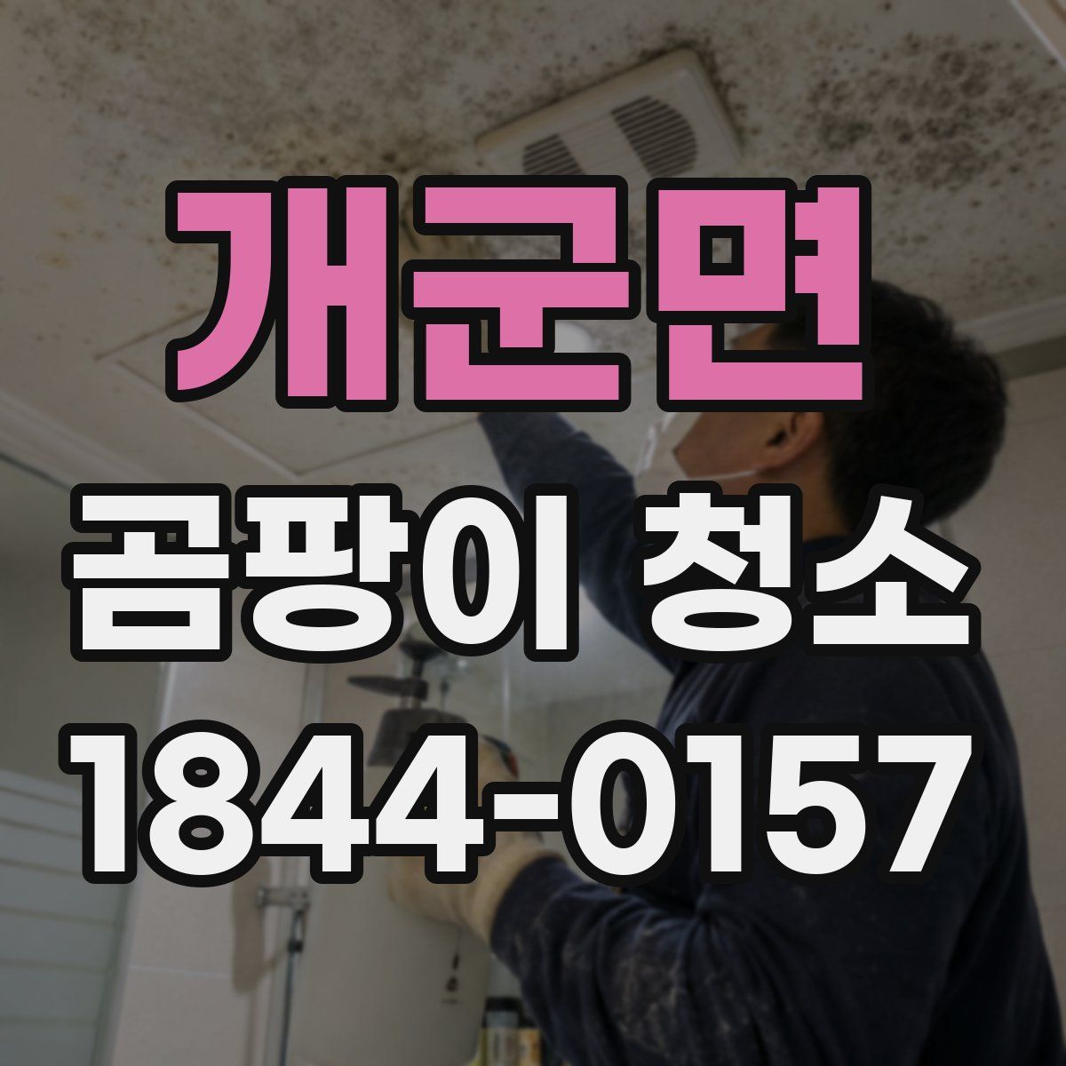 개군면 곰팡이 청소