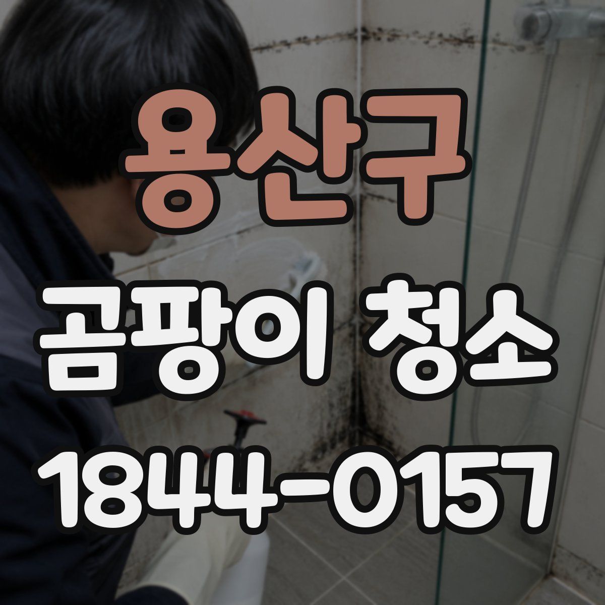 용산구 곰팡이 청소