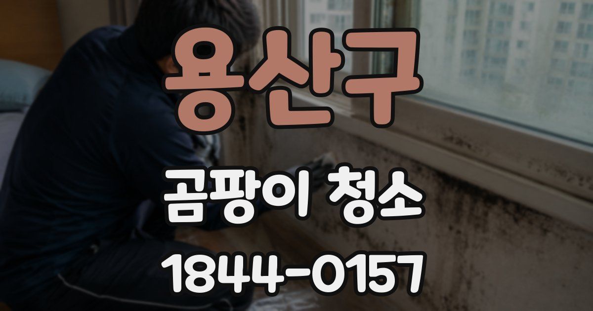 용산구 곰팡이 청소