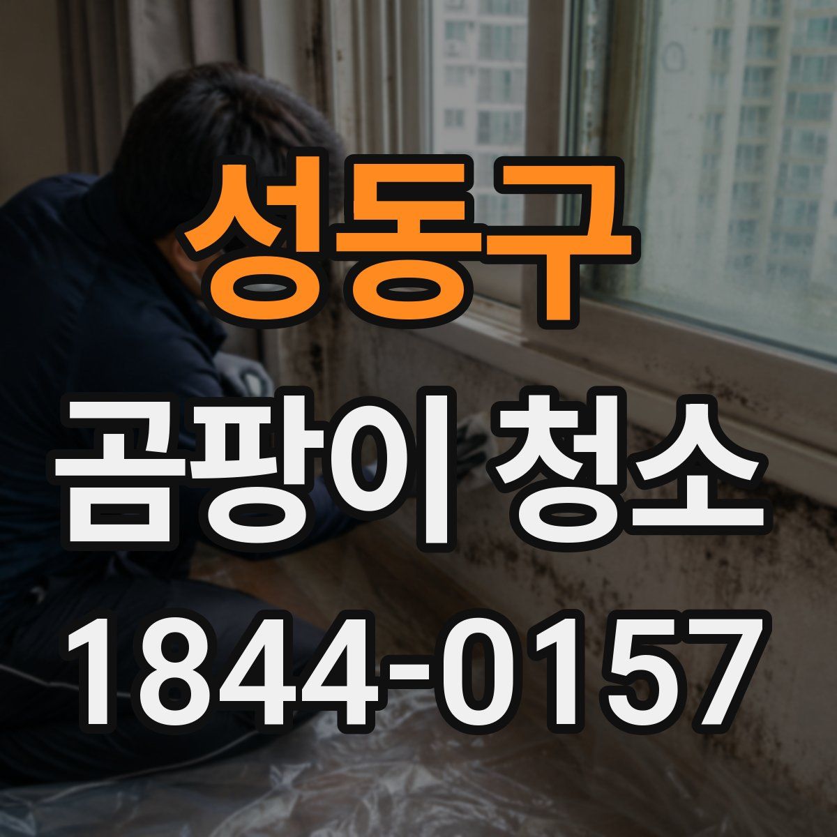 성동구 곰팡이 청소