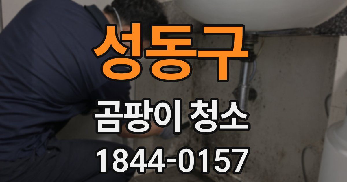 성동구 곰팡이 청소