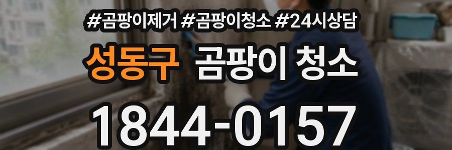 성동구 곰팡이 청소