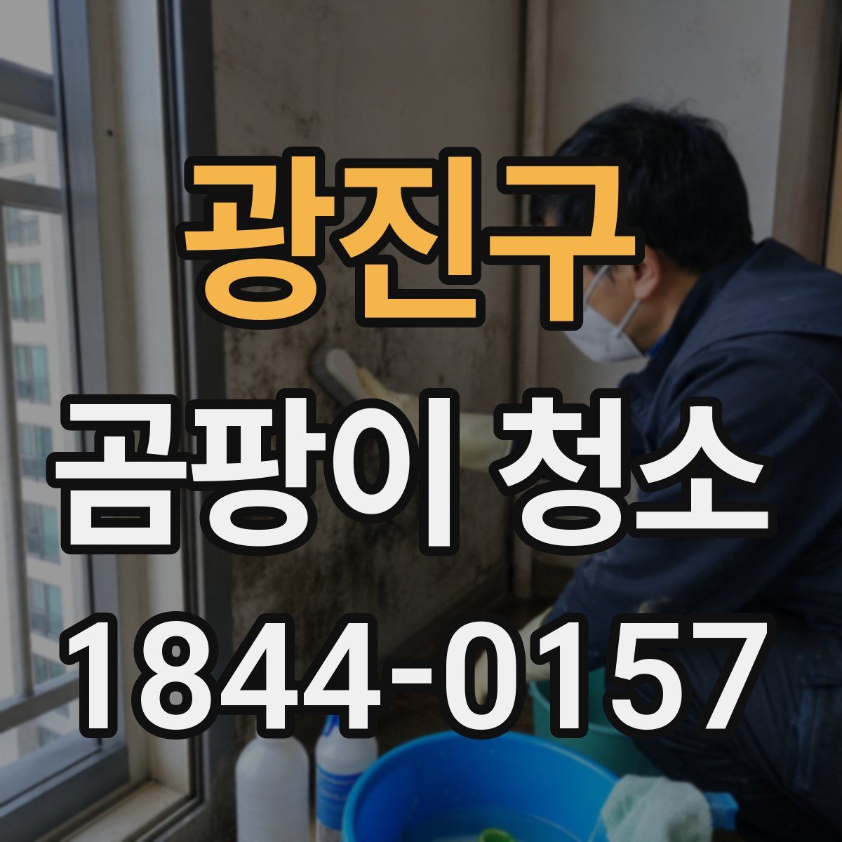 광진구 곰팡이 청소