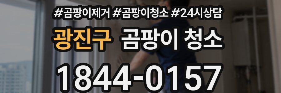 광진구 곰팡이 청소